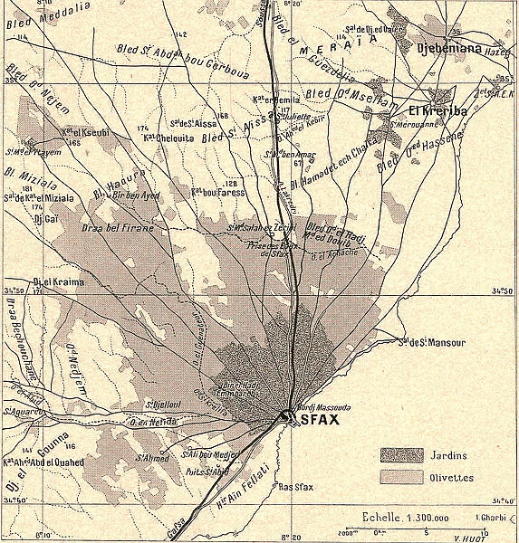 'Olivettes de Sfax; Afrique du nord, 1914. Creator: Unknown