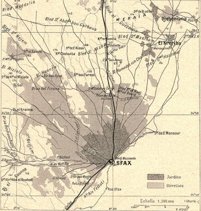 Framed Print : Olivettes de Sfax; Afrique du nord, 1914. Creator: Unknown Framed Print : Olivettes de Sfax; Afrique du nord, 1914. Creator: Unknown