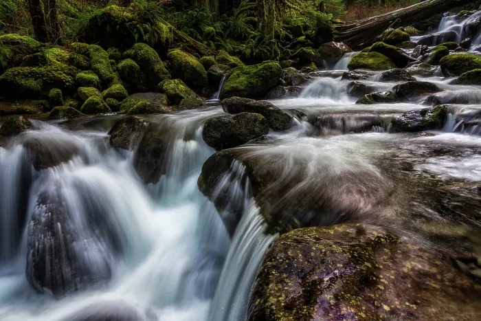 Framed Print : Oneanta Creek. Creator: Joshua Johnston Framed Print : Oneanta Creek. Creator: Joshua Johnston
