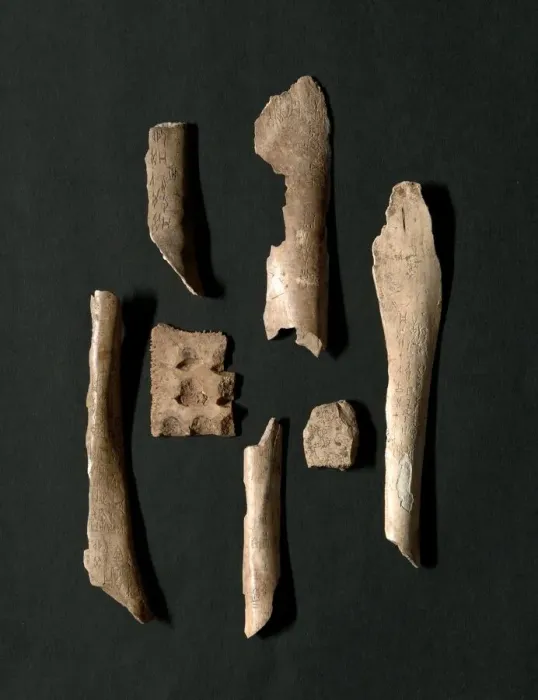 Framed Print : Oracle Bones (76 total), Shang dynasty (about 1600-1046 BC). Creator: Unknown Framed Print : Oracle Bones (76 total), Shang dynasty (about 1600-1046 BC). Creator: Unknown