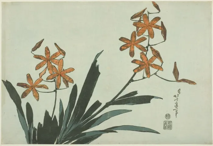 Framed Print : Orange Orchids, from an untitled series of flowers, Japan, c. 1832. Creator: Hokusai Framed Print : Orange Orchids, from an untitled series of flowers, Japan, c. 1832. Creator: Hokusai
