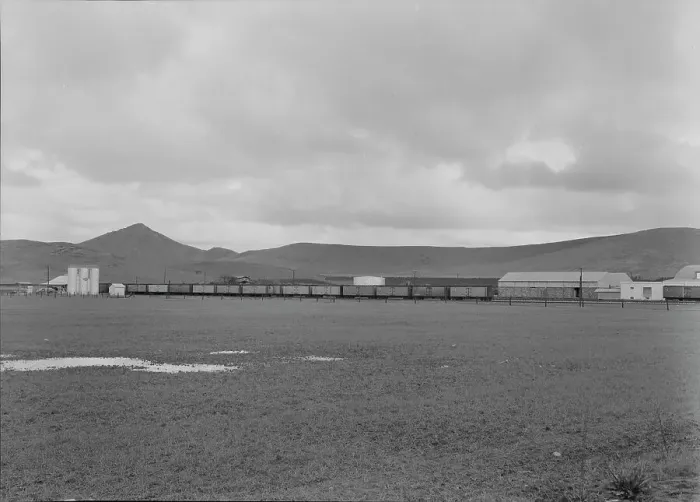 Framed Print : Orange packing shed, Strathmore, California, 1939. Creator: Dorothea Lange Framed Print : Orange packing shed, Strathmore, California, 1939. Creator: Dorothea Lange