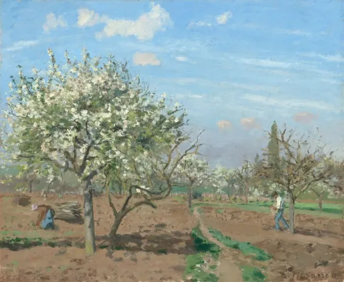 Framed Print : Orchard in Bloom, Louveciennes, 1872. Creator: Camille Pissarro Framed Print : Orchard in Bloom, Louveciennes, 1872. Creator: Camille Pissarro