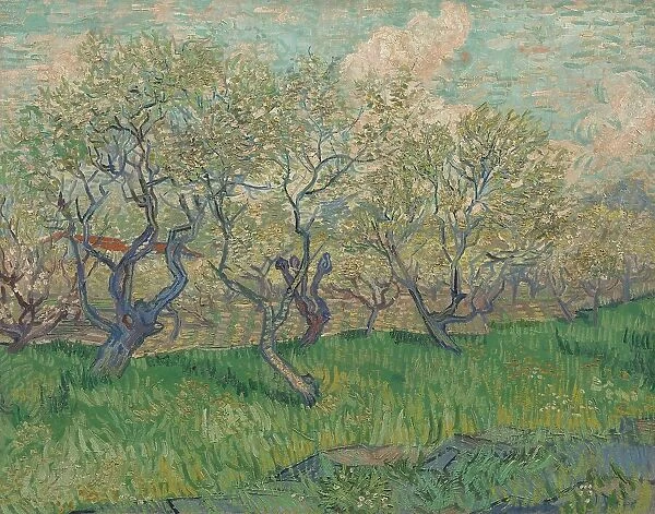 Orchard in Blossom, 1889. Creator: Gogh, Vincent, van (1853-1890)