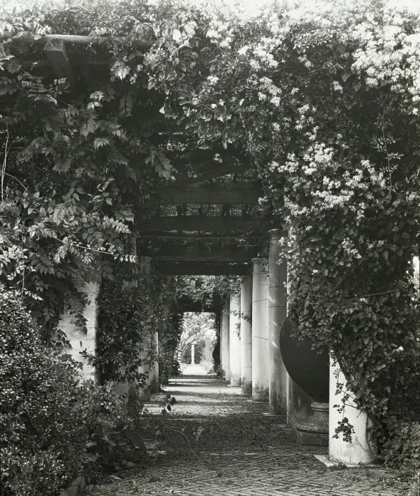 Framed Print : The Orchard, James Lawrence Breese house, 151 Hill Street, Southampton, New York, 1912. Creator: Frances Benjamin Johnston. The Orchard, James Lawrence Breese house, 151 Hill Street, Southampton, New York, 1912 Framed Print : The Orchard, James Lawrence Breese house, 151 Hill Street, Southampton, New York, 1912. Creator: Frances Benjamin Johnston. The Orchard, James Lawrence Breese house, 151 Hill Street, Southampton, New York, 1912