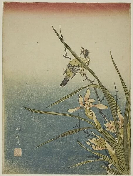 Orchid and Bird, c. 1770. Creator: Isoda Koryusai