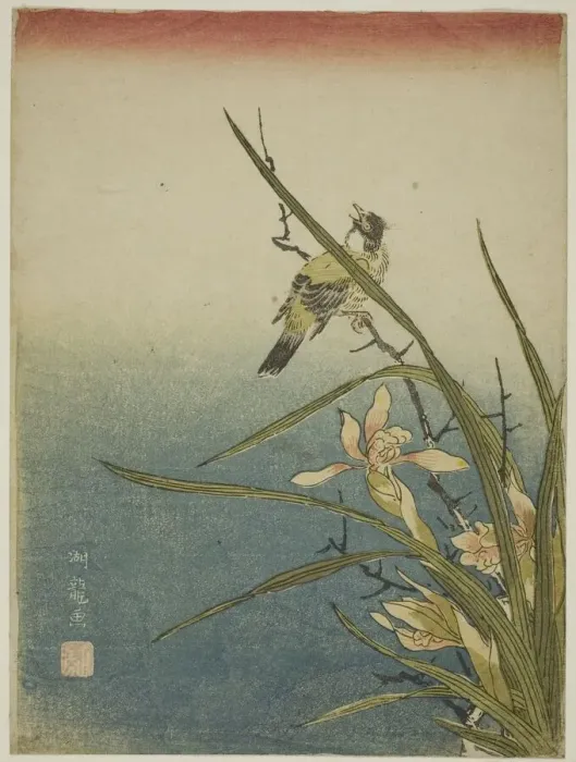 Framed Print : Orchid and Bird, c. 1770. Creator: Isoda Koryusai Framed Print : Orchid and Bird, c. 1770. Creator: Isoda Koryusai