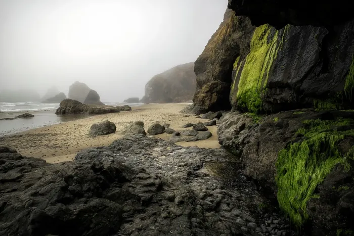 Framed Print : Oregon Coast. Creator: Joshua Johnston Framed Print : Oregon Coast. Creator: Joshua Johnston