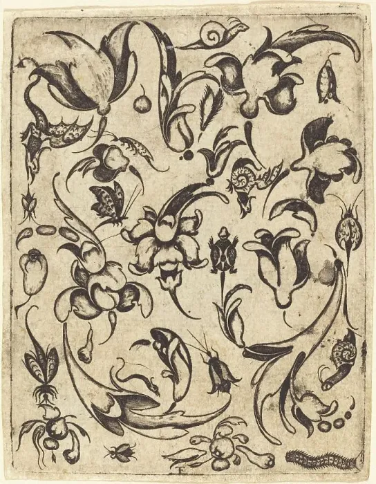Framed Print : Ornament. Creator: Master T.F Framed Print : Ornament. Creator: Master T.F