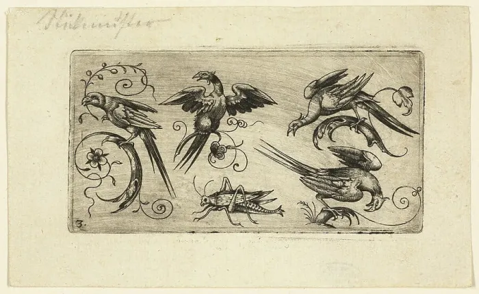 Framed Print : Ornament Panels with Birds: Plate 3, 1617. Creator: Adrian Muntink Framed Print : Ornament Panels with Birds: Plate 3, 1617. Creator: Adrian Muntink