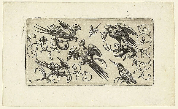 Ornament Panels with Birds: Plate 7, 1617. Creator: Adrian Muntink