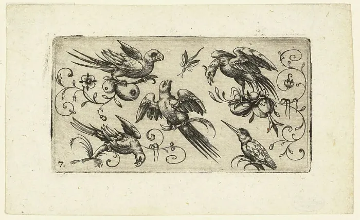 Framed Print : Ornament Panels with Birds: Plate 7, 1617. Creator: Adrian Muntink Framed Print : Ornament Panels with Birds: Plate 7, 1617. Creator: Adrian Muntink