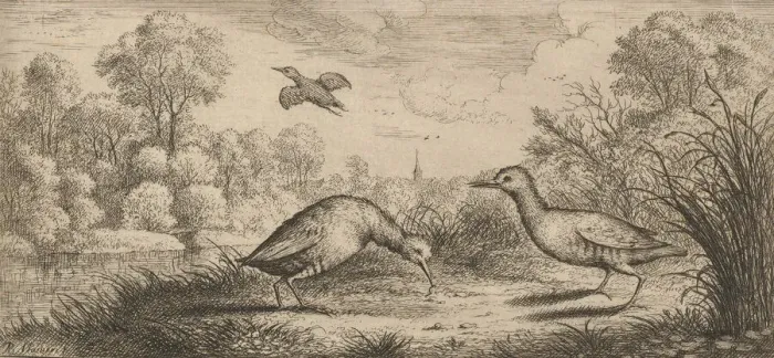 Framed Print : Ortygometra, Ralle (The Rail): Livre d Oyseaux (Book of Birds), 1655-1660 Framed Print : Ortygometra, Ralle (The Rail): Livre d Oyseaux (Book of Birds), 1655-1660