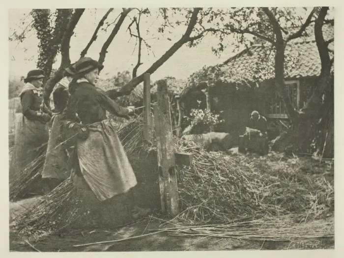 Framed Print : Osier-Peeling (Norfolk), c. 1883 / 87, printed 1888. Creator: Peter Henry Emerson Framed Print : Osier-Peeling (Norfolk), c. 1883 / 87, printed 1888. Creator: Peter Henry Emerson