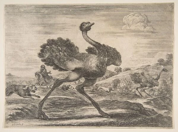 Ostrich hunt, from Animal hunts (Chasses adifferents animaux), ca. 1654