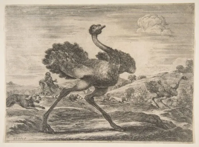 Framed Print : Ostrich hunt, from Animal hunts (Chasses adifferents animaux), ca. 1654 Framed Print : Ostrich hunt, from Animal hunts (Chasses adifferents animaux), ca. 1654