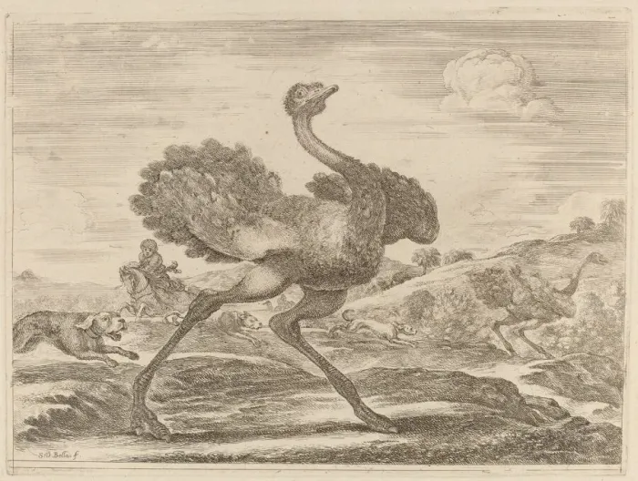 Framed Print : Ostrich Hunt. Creator: Stefano della Bella Framed Print : Ostrich Hunt. Creator: Stefano della Bella