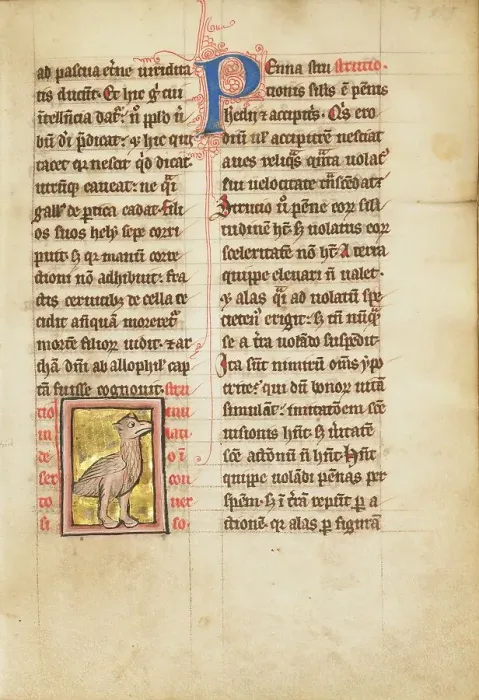 Framed Print : An Ostrich; De Natura Avium; De Pastoribus et Ovibus; Bestiarium, 1277 or after. Creator: Unknown Framed Print : An Ostrich; De Natura Avium; De Pastoribus et Ovibus; Bestiarium, 1277 or after. Creator: Unknown