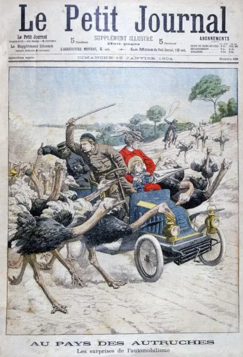 Framed Print : Ostriches attacking a car, California, USA, 1904 Framed Print : Ostriches attacking a car, California, USA, 1904