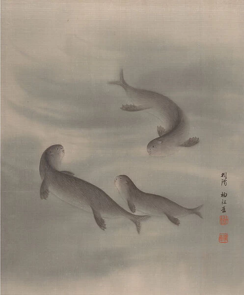 Otters Swimming, ca. 1890-92. Creator: Seki Shuko