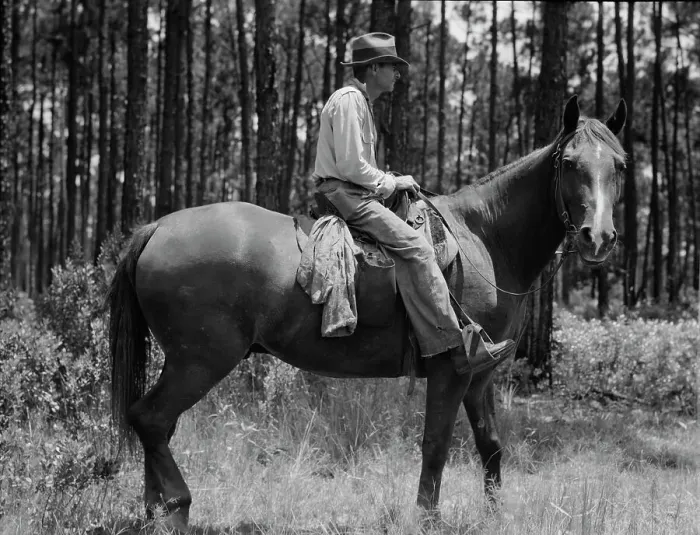 Framed Print : Overseer in the turpentine woods, Georgia, 1937. Creator: Dorothea Lange Framed Print : Overseer in the turpentine woods, Georgia, 1937. Creator: Dorothea Lange