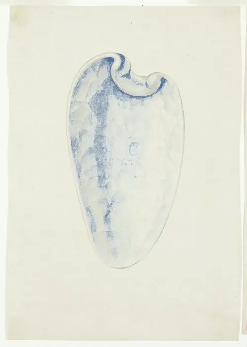 Framed Print : Overview of Lavender Elongated Shell, n.d. Creator: Giuseppe Grisoni Framed Print : Overview of Lavender Elongated Shell, n.d. Creator: Giuseppe Grisoni