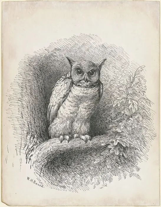 Framed Print : Owl, 1889. Creator: William Holbrook Beard Framed Print : Owl, 1889. Creator: William Holbrook Beard