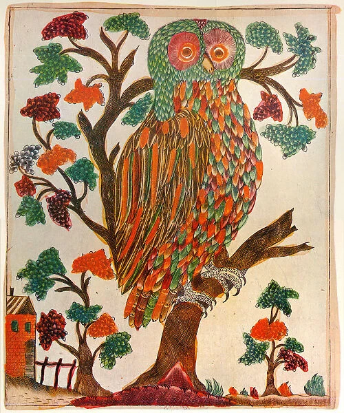 Owl, Lubok print, 1800