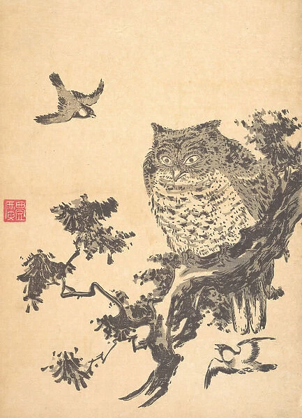 Owl and Two Swallows. Creator: Utagawa Toyohiro