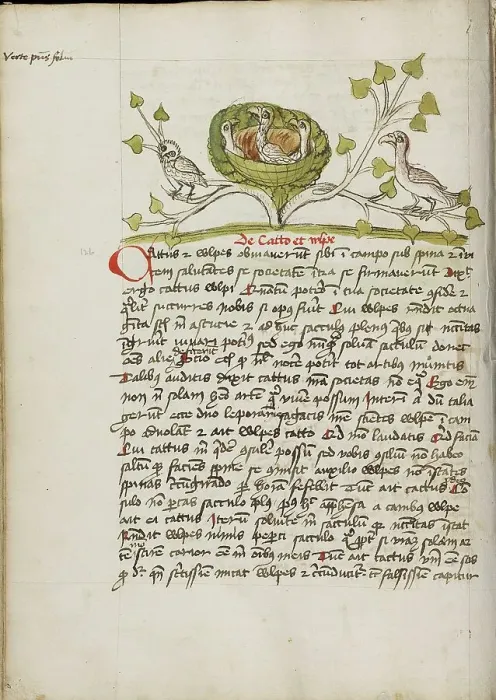Framed Print : An Owlet and a Goshawk in Some Branches; Fables, third quarter of 15th century. Creator: Unknown Framed Print : An Owlet and a Goshawk in Some Branches; Fables, third quarter of 15th century. Creator: Unknown