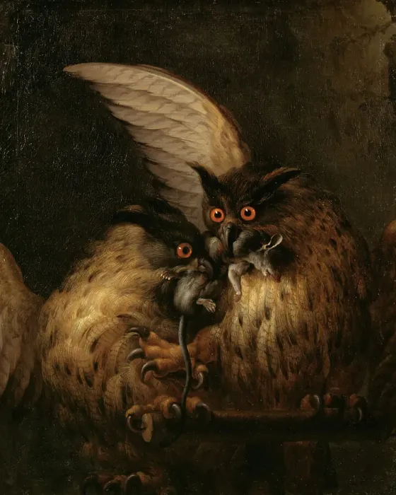 Framed Print : Two Owls Fighting over a Rat, late 17th-early 18th century. Creator: Hans Georg Muller Framed Print : Two Owls Fighting over a Rat, late 17th-early 18th century. Creator: Hans Georg Muller
