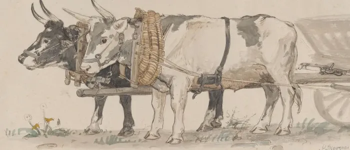 Framed Print : Two Oxen Pulling a Cart, 1874. Creator: Peter Christian Thamsen Skovgaard Framed Print : Two Oxen Pulling a Cart, 1874. Creator: Peter Christian Thamsen Skovgaard