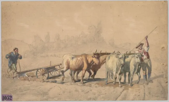 Framed Print : Four Oxen Pulling a Plough, 1853. Creator: Constant Troyon (French, 1810-1865) Framed Print : Four Oxen Pulling a Plough, 1853. Creator: Constant Troyon (French, 1810-1865)