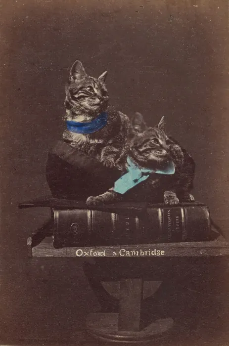 Framed Print : Oxford & Cambridge, about 1865. Creator: Henry Pointer