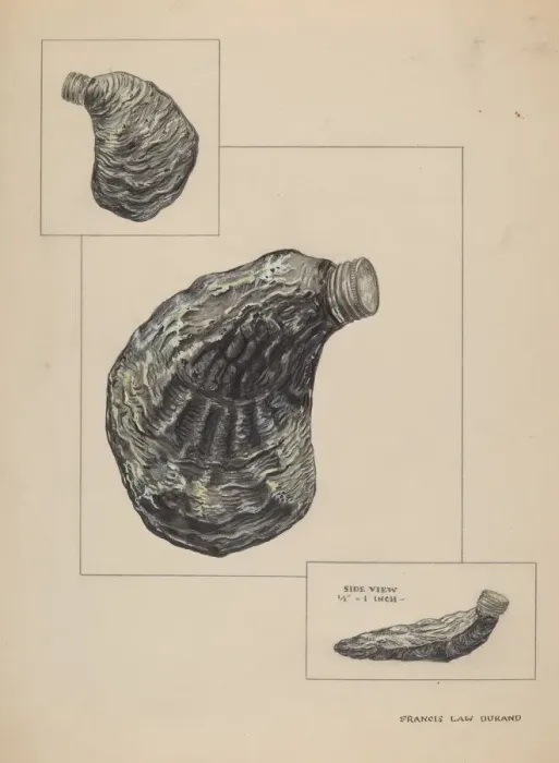 Framed Print : Oyster Shaped Flask, c. 1936. Creator: Francis Law Durand Framed Print : Oyster Shaped Flask, c. 1936. Creator: Francis Law Durand