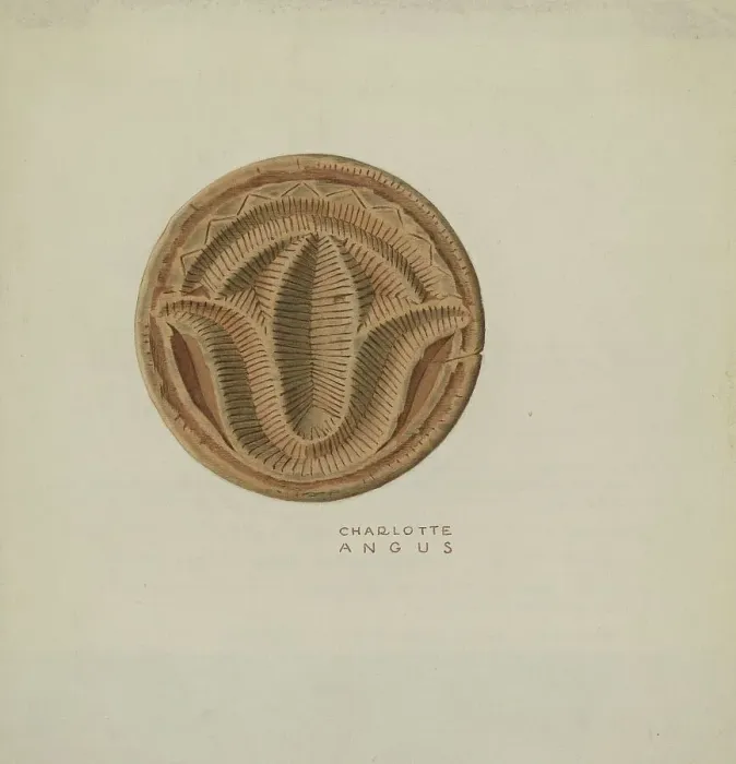 Framed Print : Pa. German Butter Mold, c. 1940. Creator: Charlotte Angus Framed Print : Pa. German Butter Mold, c. 1940. Creator: Charlotte Angus