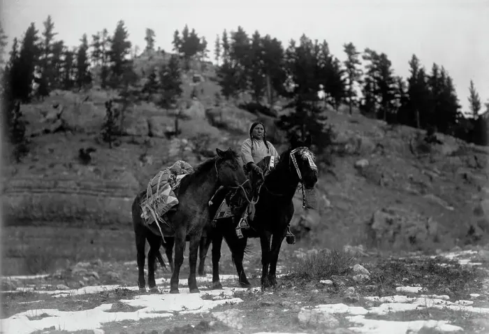 Framed Print : Pack horse [i.e. packhorse]-Apsaroke, c1908. Creator: Edward Sheriff Curtis