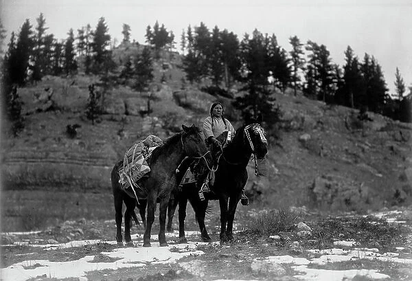 Pack horse [i.e. packhorse]-Apsaroke, c1908. Creator: Edward Sheriff Curtis