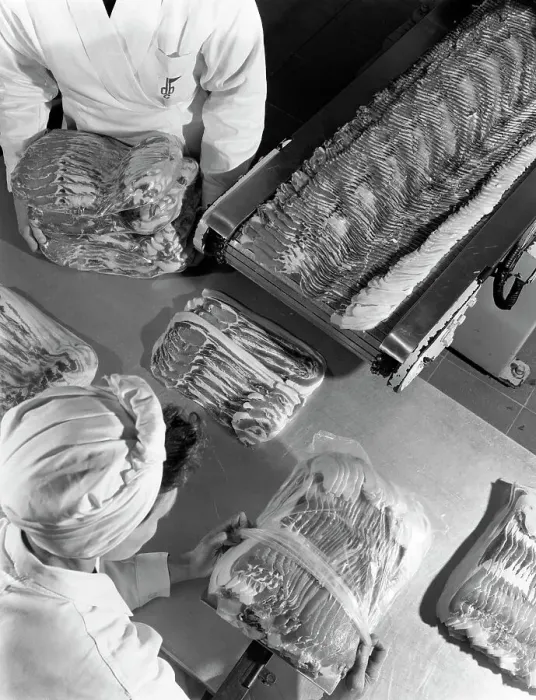 Framed Print : Packing bacon rashers, Danish Bacon Company, Selby, North Yorkshire, 1964. Artist