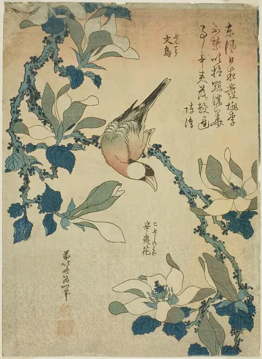 Framed Print : Paddy Bird and Magnolia Flowers (Buncho, kobushi no hana), from an untitled series... c. 1834. Creator: Hokusai Framed Print : Paddy Bird and Magnolia Flowers (Buncho, kobushi no hana), from an untitled series... c. 1834. Creator: Hokusai