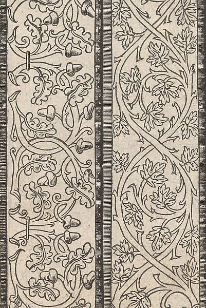 Page from Ein new kunstlich Modelbuch... (Page 13r), 1544. 1544. Creator: Peter Quentel