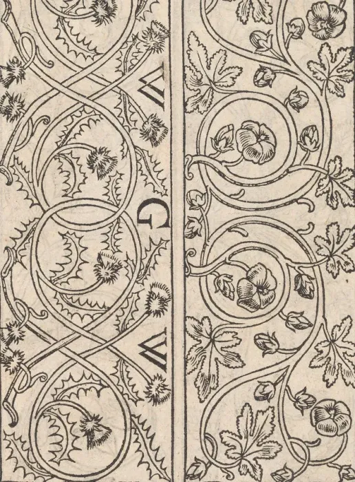 Framed Print : Page from Ein new kunstlich Modelbuch... (Page 17r), 1544. 1544. Creator: Peter Quentel Framed Print : Page from Ein new kunstlich Modelbuch... (Page 17r), 1544. 1544. Creator: Peter Quentel