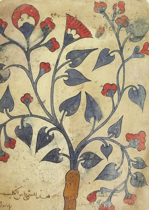 Framed Print : Page from an Herbal Manuscript (image 2 of 2), 13th century. Creator: Unknown Framed Print : Page from an Herbal Manuscript (image 2 of 2), 13th century. Creator: Unknown