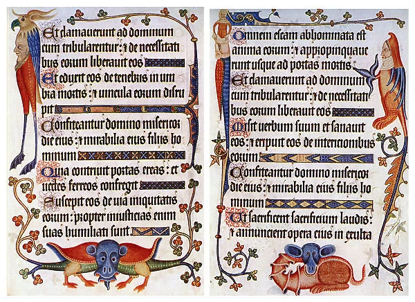 Page of illustrated text from the Luttrell Psalter, c1300-c1340, (c1900-1920)