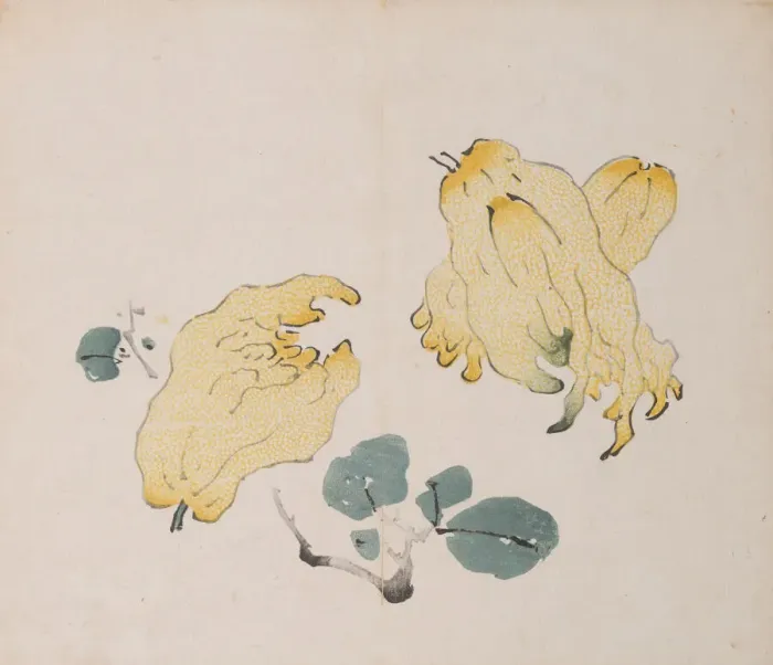 Framed Print : Page from Shi Zhu Zhai. Creator: Unknown Framed Print : Page from Shi Zhu Zhai. Creator: Unknown
