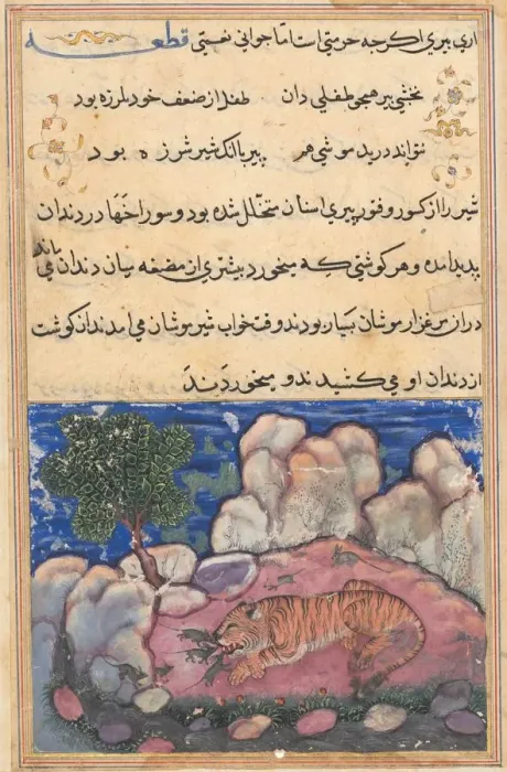 Framed Print : Page from Tales of a Parrot (Tuti-nama): Fifteenth night: The lion disturbed by mice Framed Print : Page from Tales of a Parrot (Tuti-nama): Fifteenth night: The lion disturbed by mice