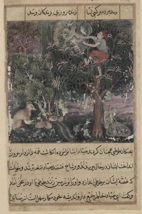 Framed Print : Page from Tales of a Parrot (Tuti-nama): Fifth night: The hunter throws away the baby Framed Print : Page from Tales of a Parrot (Tuti-nama): Fifth night: The hunter throws away the baby