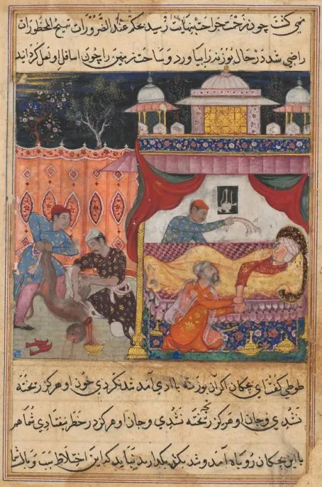 Framed Print : Page from Tales of a Parrot (Tuti-nama): Fifth night: The monkey slain, his blood Framed Print : Page from Tales of a Parrot (Tuti-nama): Fifth night: The monkey slain, his blood