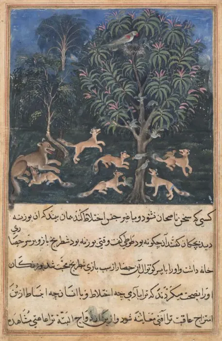 Framed Print : Page from Tales of a Parrot (Tuti-nama): Fifth night: The parrot mother cautions Framed Print : Page from Tales of a Parrot (Tuti-nama): Fifth night: The parrot mother cautions