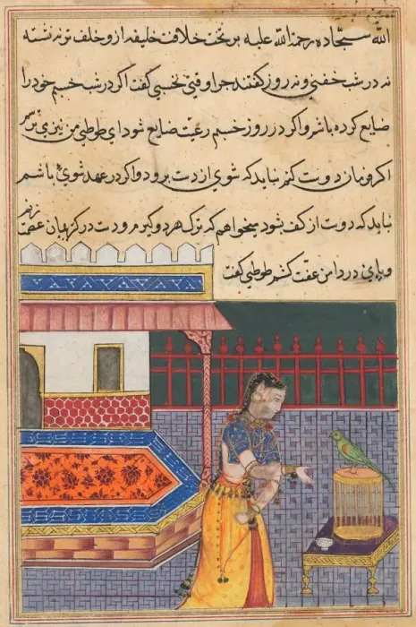 Framed Print : Page from Tales of a Parrot (Tuti-nama): Forty-first night: The parrot addresses Khujasta Framed Print : Page from Tales of a Parrot (Tuti-nama): Forty-first night: The parrot addresses Khujasta